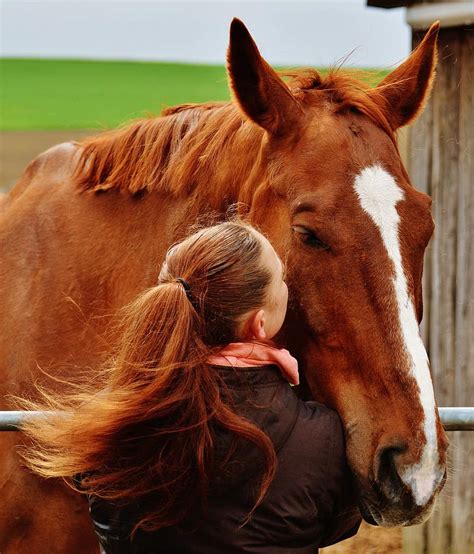 frau fickt pferd|The Woman Who Married A Horse: intime Fotos der Liebe .